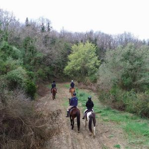 רכיבת סוסים בפרבזה צפון יוון